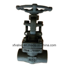 API6d Forged Steel A105 Thread End NPT Gate Valve